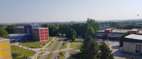 Pragadagi Chexiya agrotexnik universitetining onlayn imtihonlari boshlanmoqda