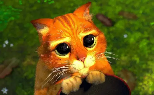 Sorry va Excuse Me o’rtasidagi farq nima?